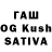 Псилоцибиновые грибы GOLDEN TEACHER Maulida NurulHasiyah