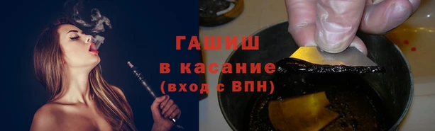 гидра Белокуриха