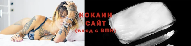 гидра Белокуриха