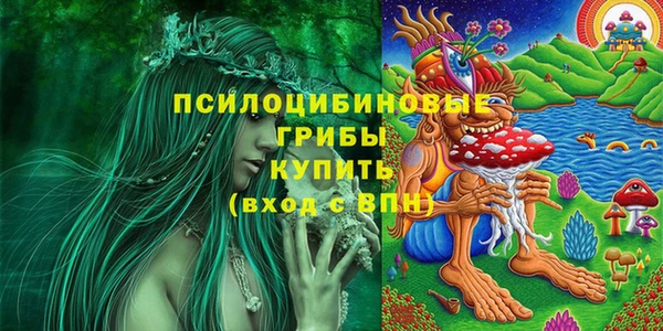 гидра Белокуриха