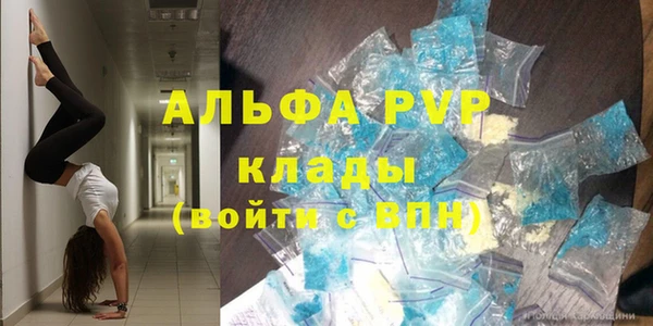 гидра Белокуриха